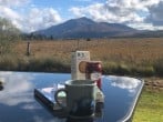 Tea with a view Tea with a view